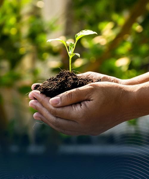 Derecho Ambiental, Compliance e Institucional